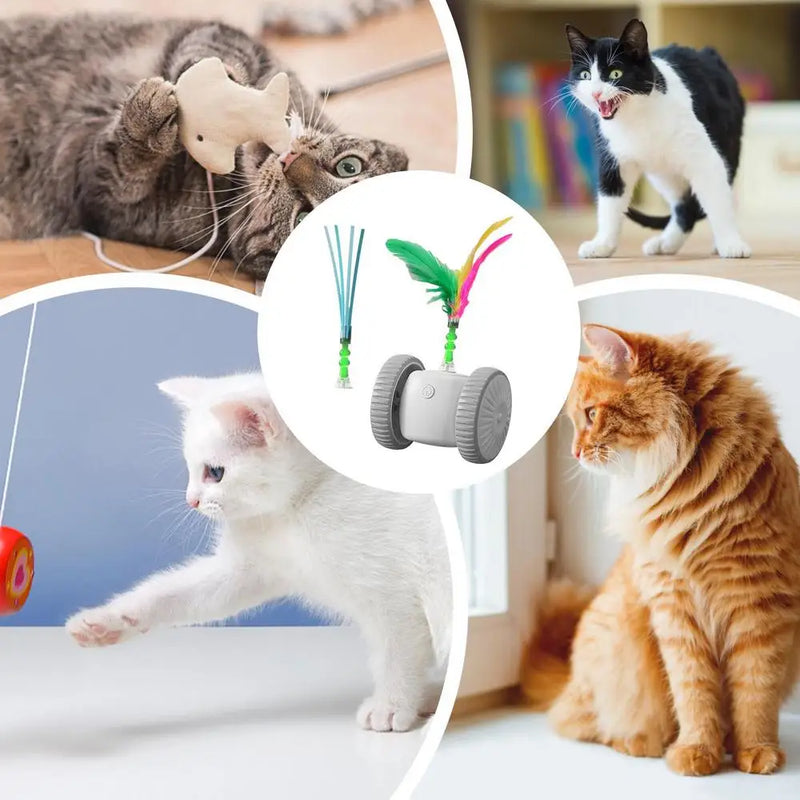 Automatic Cat Toy Indoor Playmate Automatic Moving Toy Cat Exercise Toy Intelligent Interactive Kitten Toys For Mental