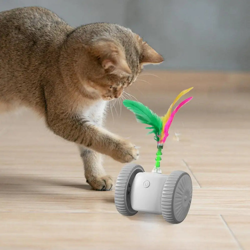 Automatic Cat Toy Indoor Playmate Automatic Moving Toy Cat Exercise Toy Intelligent Interactive Kitten Toys For Mental