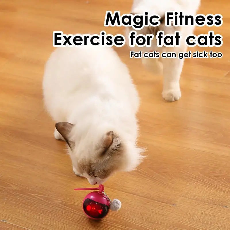 Indoor Cat Play Ball Automatic Moving Rolling Ball For Indoor Cats Rechargeable Touch Activated Rolling Ball Kitten Toys For