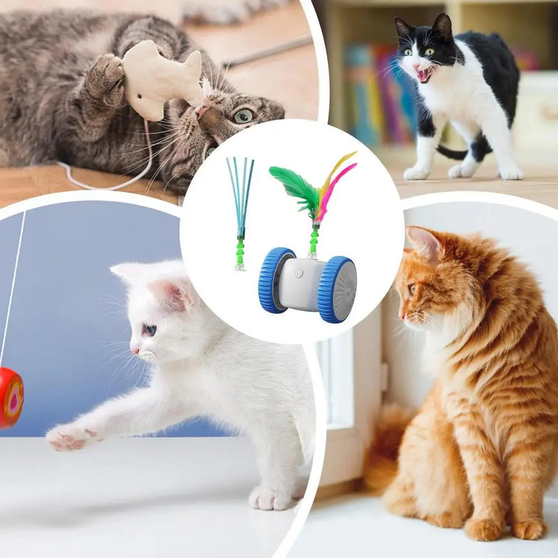 Automatic Cat Toy Indoor Playmate Automatic Moving Toy Cat Exercise Toy Intelligent Interactive Kitten Toys For Mental