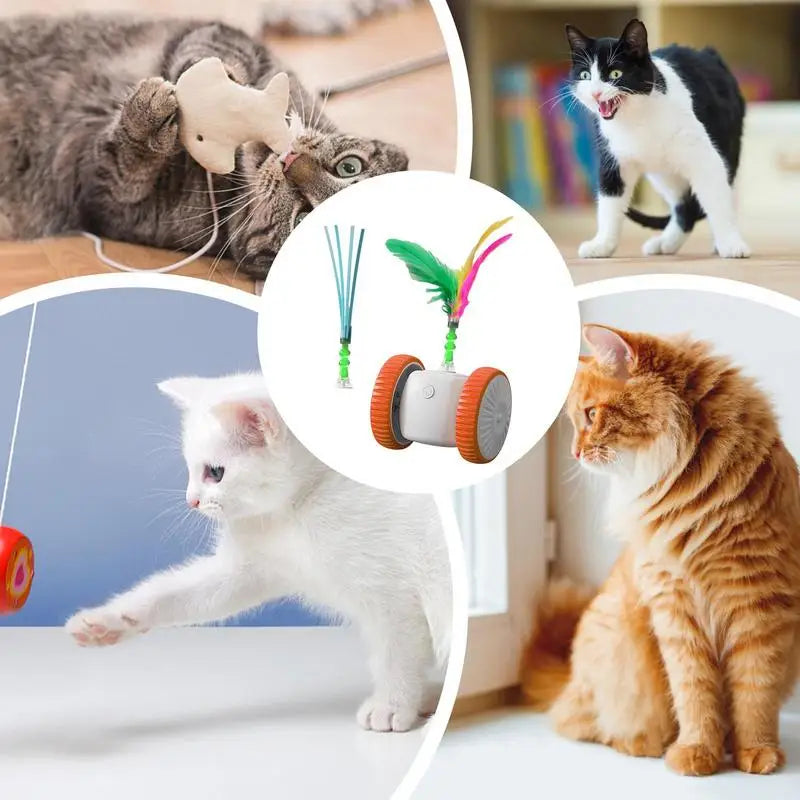 Automatic Cat Toy Indoor Playmate Automatic Moving Toy Cat Exercise Toy Intelligent Interactive Kitten Toys For Mental