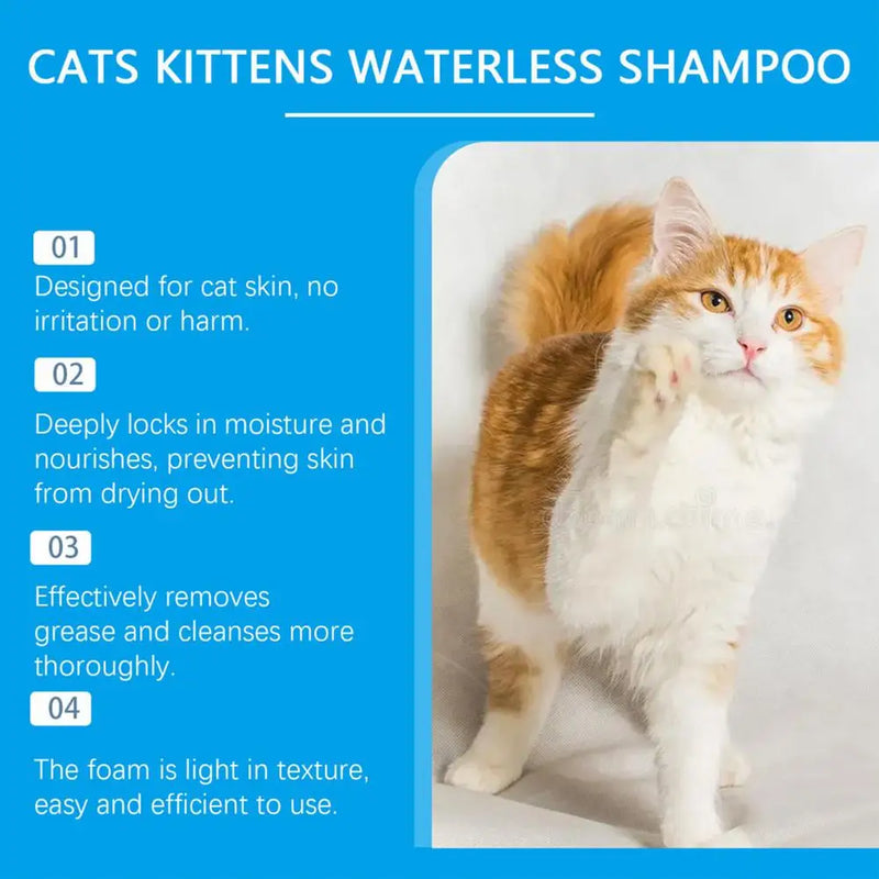 MiauVelvet – Espuma a Seco para Gatos Nobres