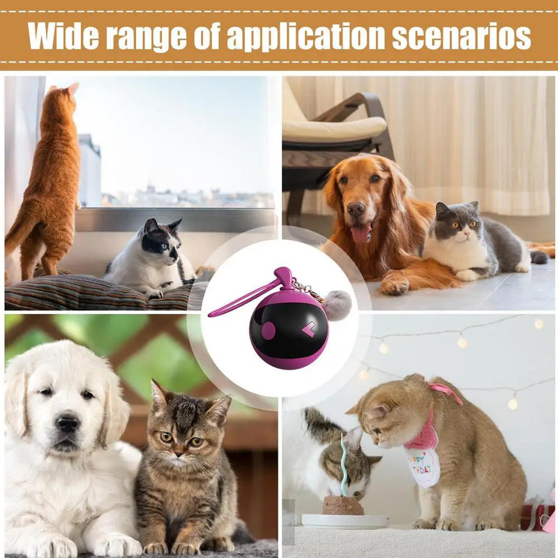 Indoor Cat Play Ball Automatic Moving Rolling Ball For Indoor Cats Rechargeable Touch Activated Rolling Ball Kitten Toys For