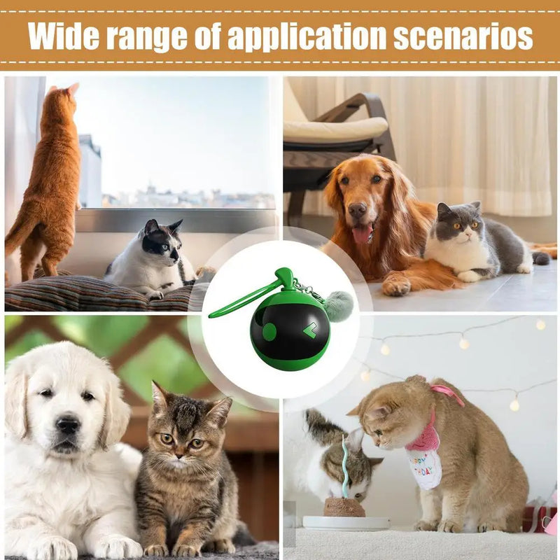 Indoor Cat Play Ball Automatic Moving Rolling Ball For Indoor Cats Rechargeable Touch Activated Rolling Ball Kitten Toys For