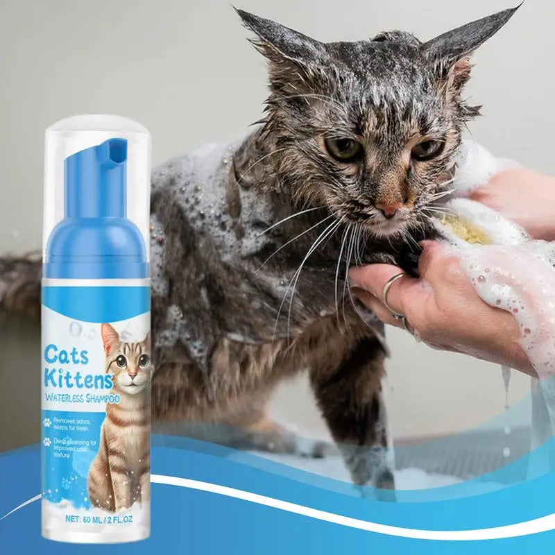 MiauVelvet – Espuma a Seco para Gatos Nobres